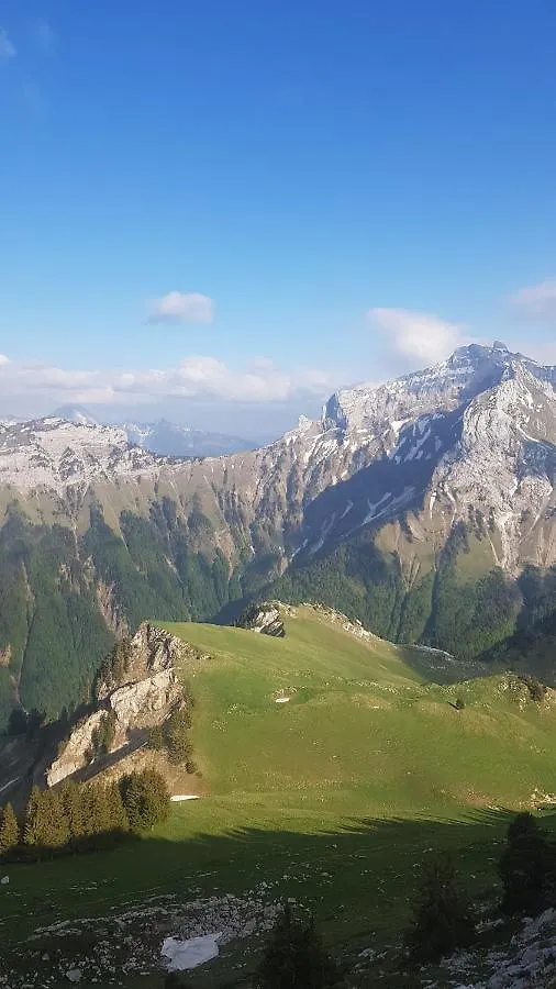 Le Maroly Apartment Le Grand-Bornand
