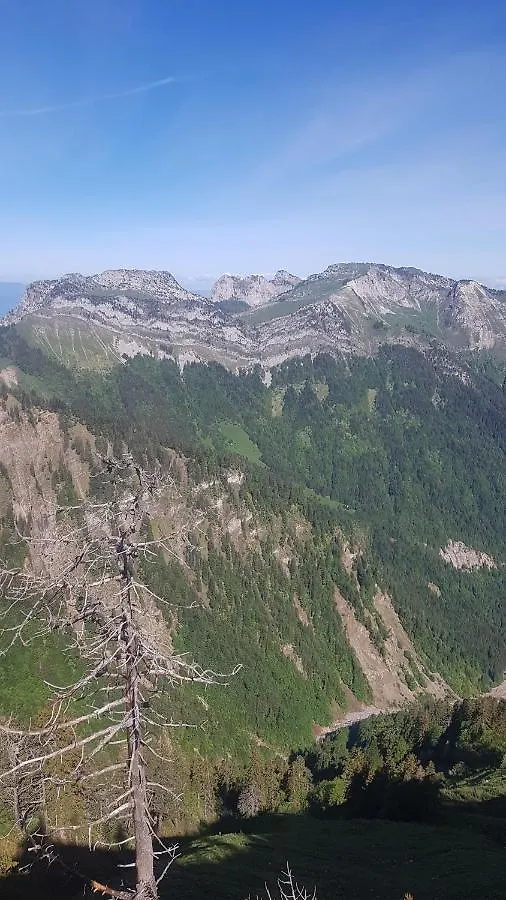 Le Maroly Daire Le Grand-Bornand Fransa